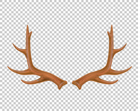 246 490 Best Antler Images Stock Photos Vectors Adobe Stock