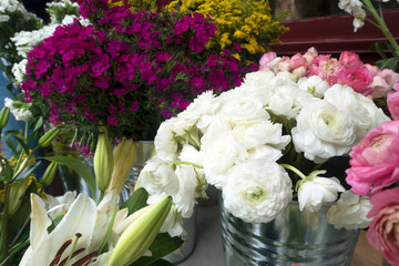 Spring Flowers Background