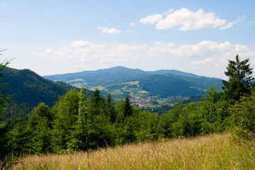 Fototapeta premium Landscape of Pieniny mountains