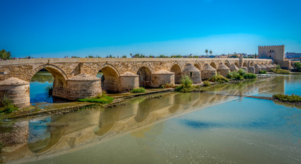Fototapeta premium bridge in cordoba spain