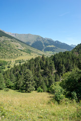 Road to Montgarri through the mountain of Aran Valley