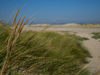 Dünen Norderney