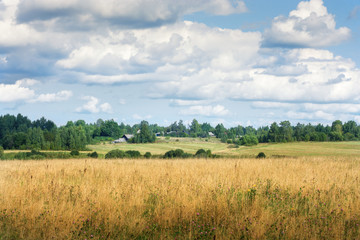 Fototapeta premium Field under a blue sky with clouds