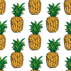 Pineapple. Exotic tropical fruit. Sketch. Pattern