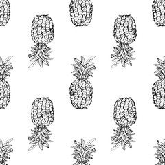 Pineapple. Exotic tropical fruit. Sketch. Pattern - 230506375