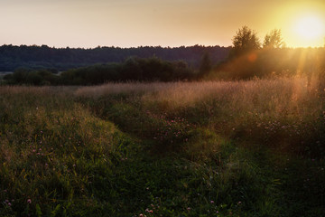 sunset over dirt road