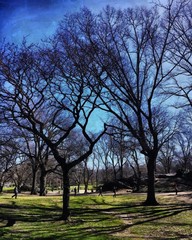 Hand drawing watercolor art on canvas. Artistic big print. Original modern painting. Acrylic dry brush background. Wonderful spring park landscape. Travel view. Charming  nature.