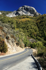 The empty winding road on a sunny day in National Sequoia Park, California, USA