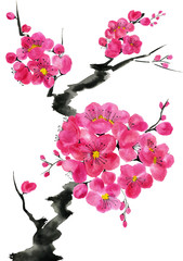 A branch of a blossoming tree. Pink and red stylized flowers of plum mei, wild apricots and sakura . Watercolor and ink illustration in style sumi-e, u-sin. Oriental traditional painting.