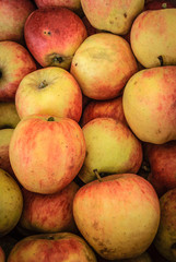 Fruits 
