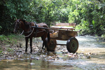 Cuba Pinar del Rio