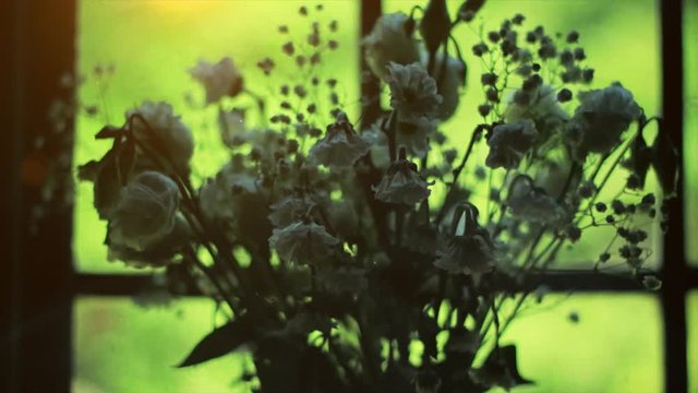 Withered flower, dead flower in dark atmospheric interior. Depressed, stressed, unhappy footage. Silhouette flower is dead without sunlight.