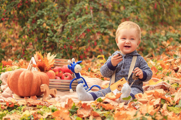 A little boy with a bump in his hands at a picnic in the autumn forest, the child is playing with wooden toys among the yellow foliage. Autumn family picnic with pumpkin, crate of apples and cones