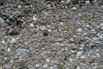 Pebble and stones on beach sand