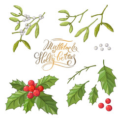 Mistletoe isolated. Traditional Christmas plant. Holiday red Holly berry with green leaves. Decorating for national Festive on white background. xmas design template