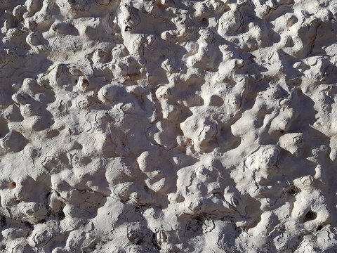 Rough texture background