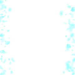 Turquoise flower petals falling down. Popular roma