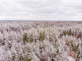 Vinter Landscape in the north of Europe