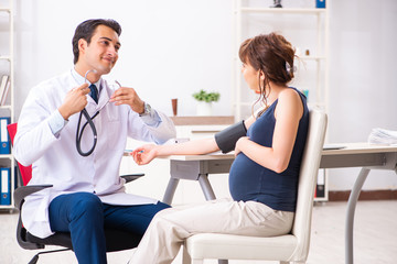 Fototapeta premium Young doctor checking pregnant woman's blood pressure