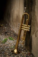 Naklejka na ściany i meble Jazz Trumpet Club