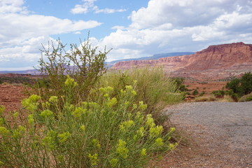 Landschaft im Capitol Reef