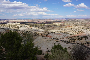 Fototapeta na wymiar Landschaft in Arizona