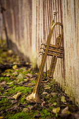 Jazz Trumpet Nature