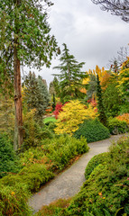 Path leading through trees with fall colors