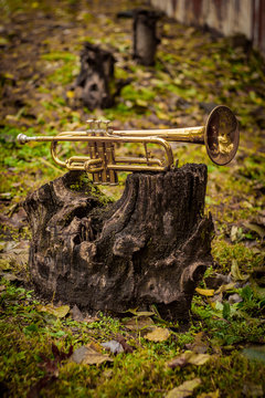 Jazz Trumpet Nature