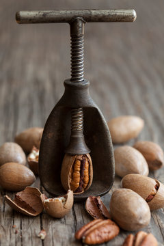 Nutcracker and pecans