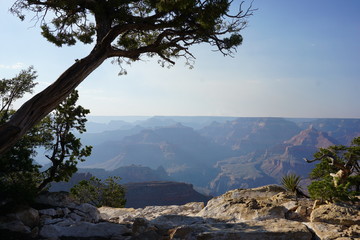 grand canyon