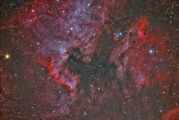 imaged with a telescope and a scientific CCD camera