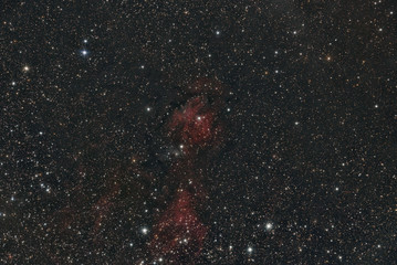 imaged with a telescope and a scientific CCD camera