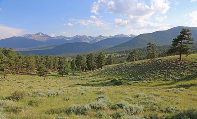 Fototapeta na wymiar A meadow in the valley just below Deer Ridge Junction, in Rocky Mountain National Park, Colorado, USA.
