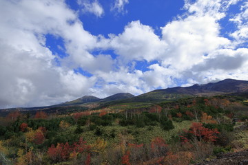 十勝岳望岳台の紅葉 ( Landscape at Tokachidake Bogakudai Observation Tower )