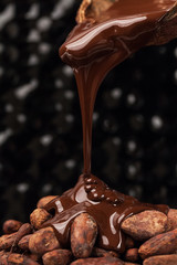 Chocolate and Spices