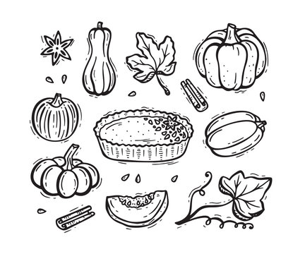 Vector Food. Autumn Harvest symbols. Hand Drawn Doodle Pumpkin Pie, Vegetables, Different Varieties of Pumpkins, Spices, Leaves. Happy Thanksgiving Day Greeting card template