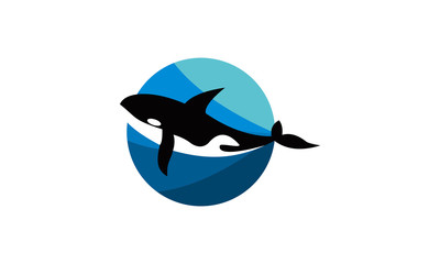 whale and water