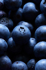 A group of fresh blueberries with a single blueberry as a focus point.