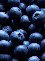 Vibrant blueberries photographed close up.