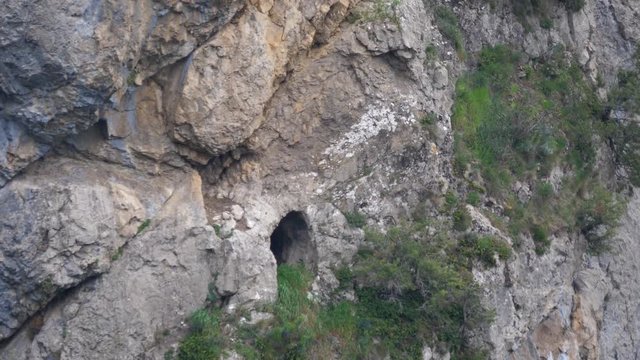 Griffon vulture flies away from his cave around Fago in Spain
