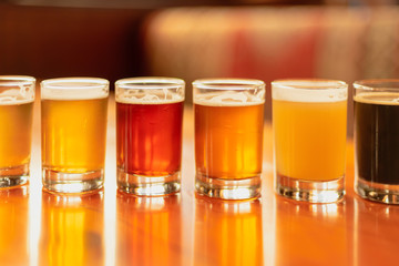 Full frame beer background - flight with variety of colors