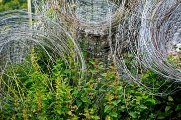 Swirls of wire for farm or garden fencing, resting on a background of grasses and plants.