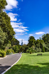 Fototapeta premium Walking towards the City vert