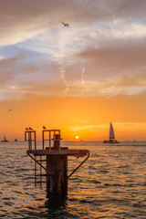 Sail boats traveling in the sea under sunset, in Key West, Florida, USA