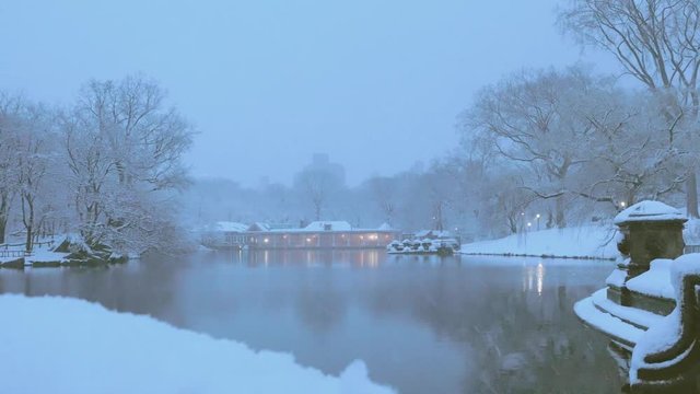 Central Park Lake Skyline