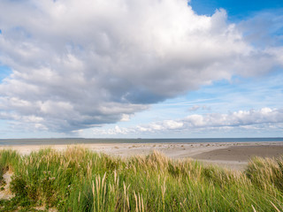 View from Boschplaat on Terschelling island to tidal outlet Borndiep and Ameland island with lighthouse, Waddensea, Netherlands