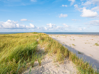 View to North Sea from dunes with marram grass and beach of nature reserve Boschplaat on Terschelling, Netherlands