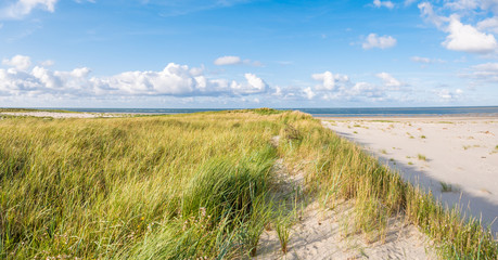 Obraz premium View to North Sea from dunes with marram grass and beach of nature reserve Boschplaat on Terschelling, Netherlands