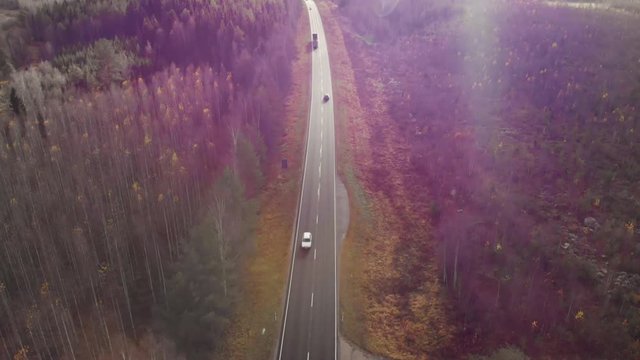 Aerial, tilt down, drone shot, following a car driving on a dark, asphalt road, between pine trees and leafless, birch forest, sun flares, on a sunny autumn day, in Juuka, North Karelia, Finland
